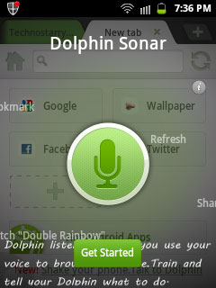 dolphin sonar