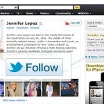 Twitter follow button